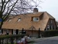 2010-04-07 Meerkerk033