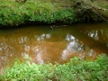 2010-05-05 Baarschot010