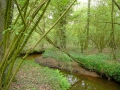2010-05-05 Baarschot012