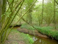 2010-05-05 Baarschot012