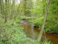 2010-05-05 Baarschot013