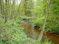 2010-05-05 Baarschot013