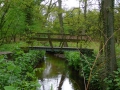 2010-05-05 Baarschot017