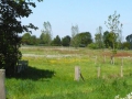 2010-05-19 Slabroek008