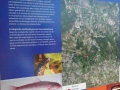 2010-06-02 Oirschot020