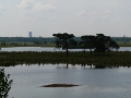 2010-06-30 Loon op Zand006