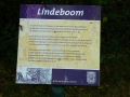 2010-07-14 Esbeek007