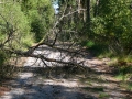 2010-07-14 Esbeek011