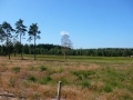 2010-07-14 Esbeek013