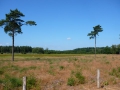 2010-07-14 Esbeek014