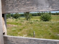 2010-07-14 Esbeek016
