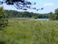 2010-07-14 Esbeek021