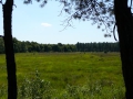 2010-07-14 Esbeek023