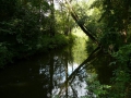 2010-08-25 Oisterwijk007