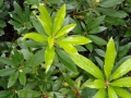 2010-09-08 Milheeze012