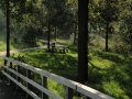2010-09-22 Liempde007