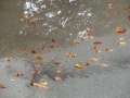 2010-09-28 Willebadessen006 (Kopie)