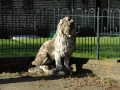 2010-10-20 Overasselt002