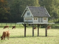 2010-10-20 Overasselt006