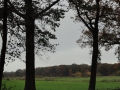 2010-11-03 Helenaveen010