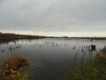 2010-11-03 Helenaveen011