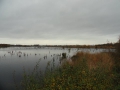 2010-11-03 Helenaveen012