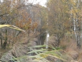 2010-11-03 Helenaveen014