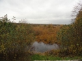 2010-11-03 Helenaveen017
