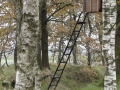 2010-11-03 Helenaveen018