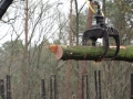 2010-11-17 Renkum002