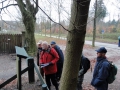 2010-11-17 Renkum009