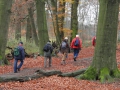 2010-11-17 Renkum011