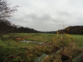 2010-11-17 Renkum032