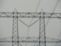 2010-12-29 Best009