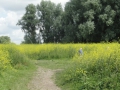 2016-07-06 Nijmegen Ooijpolder 004