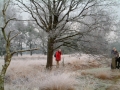 2006-12-20 Rips005