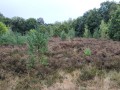 2025-09-17-Vught-003