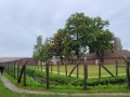 2025-09-17-Vught-009