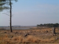 2003-11-12 Geldrop 004