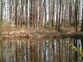 2004-04-14 Chaam 005