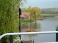 2004-04-28 Linge 010