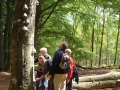 2004-05-12 Rheden 006