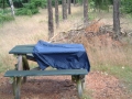 2004-06-23 Elsendorp 012