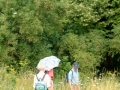 2004-07-21 Heerewaarden 007