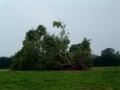 2004-07-21 Heerewaarden 011