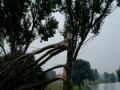 2004-07-21 Heerewaarden 012