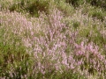 2004-08-18 Well 004
