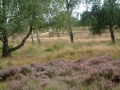 2004-08-18 Well 014