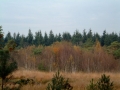 2004-10-27 Nijnsel 019