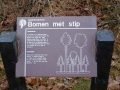 2004-11-08 Aalden 004